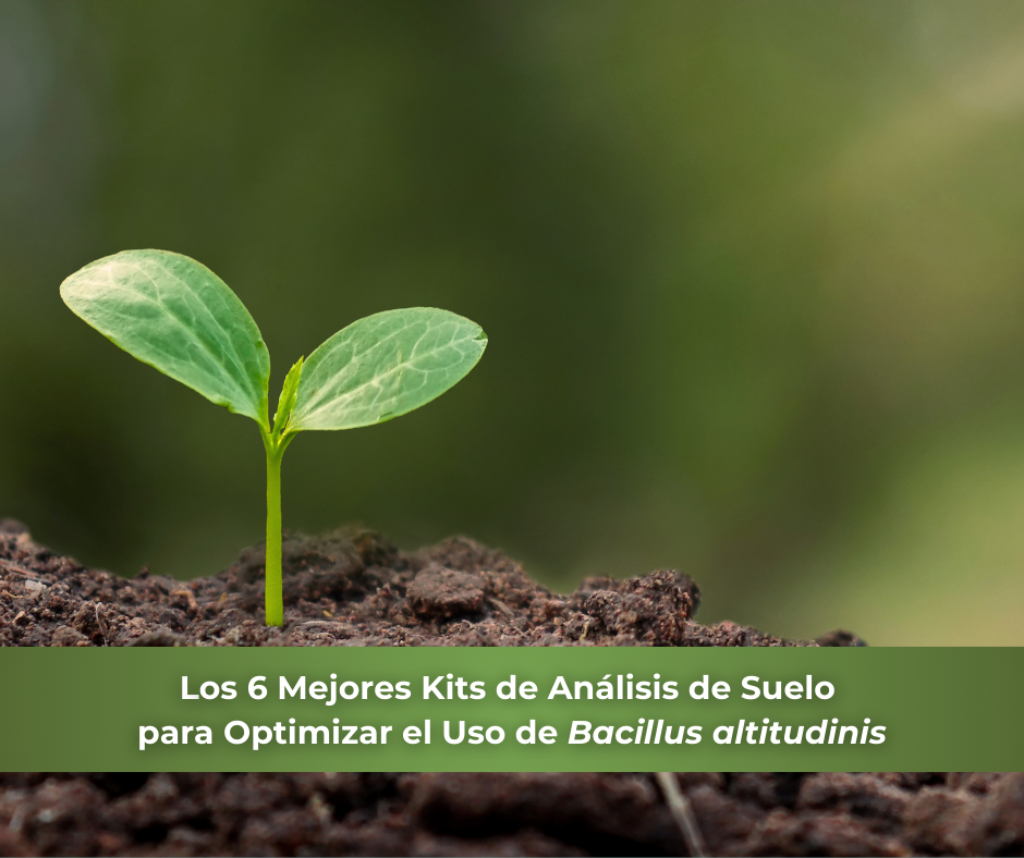 Kits de análisis de suelo NPK y pH para mejorar la fertilidad del suelo